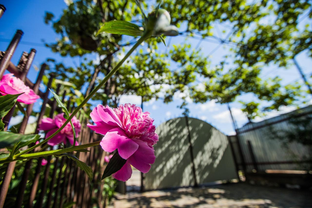 Guest House In Drachino 스발랴바 외부 사진